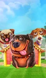 The Dog House