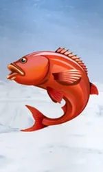 Ice Fishing